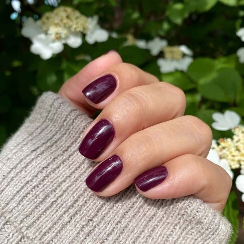 Short Burgundy Nail Designs