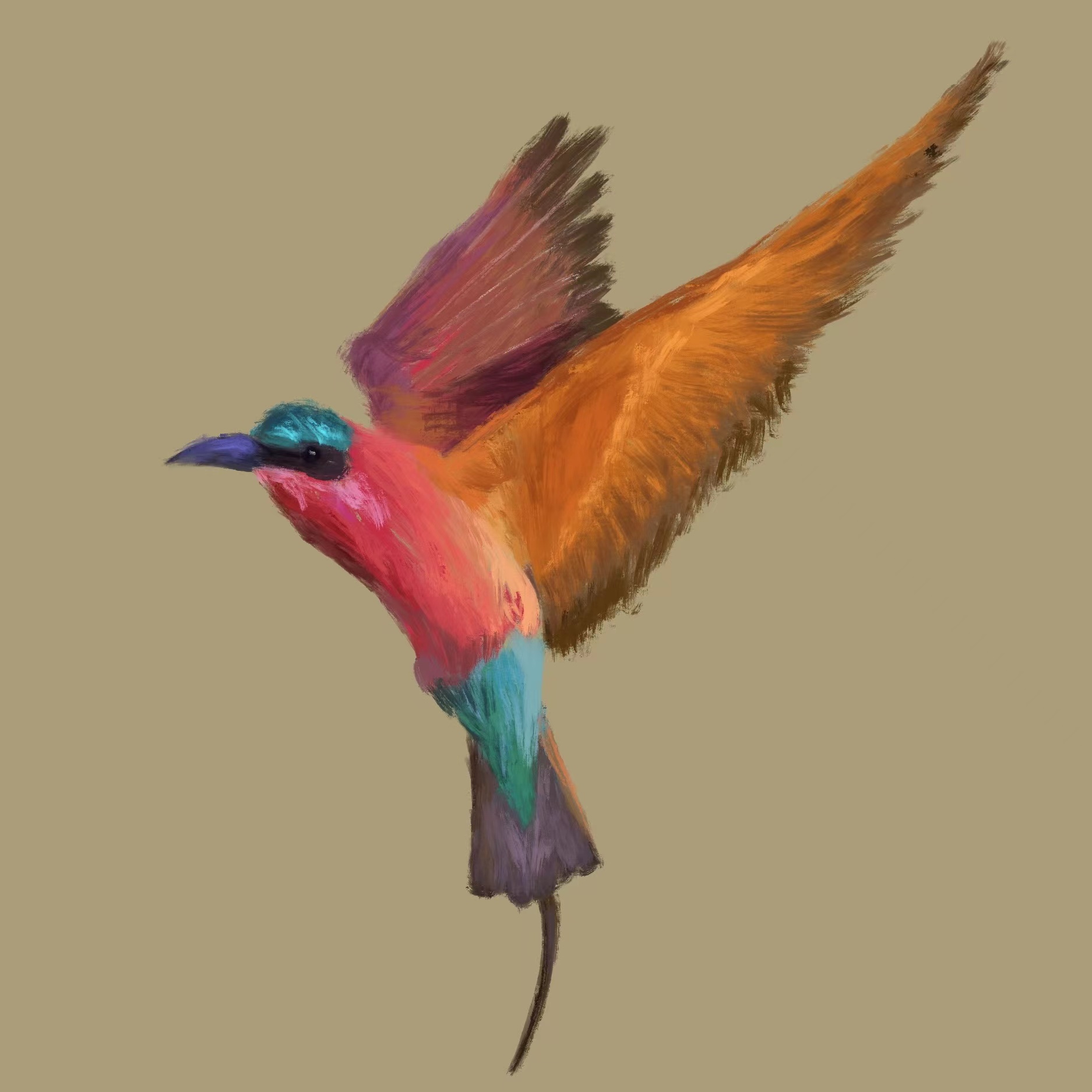 Sunday Sketch: The Southern carmine bee-eater